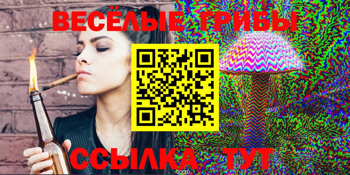 Галлюциногенные грибы Psilocybe Джанкой