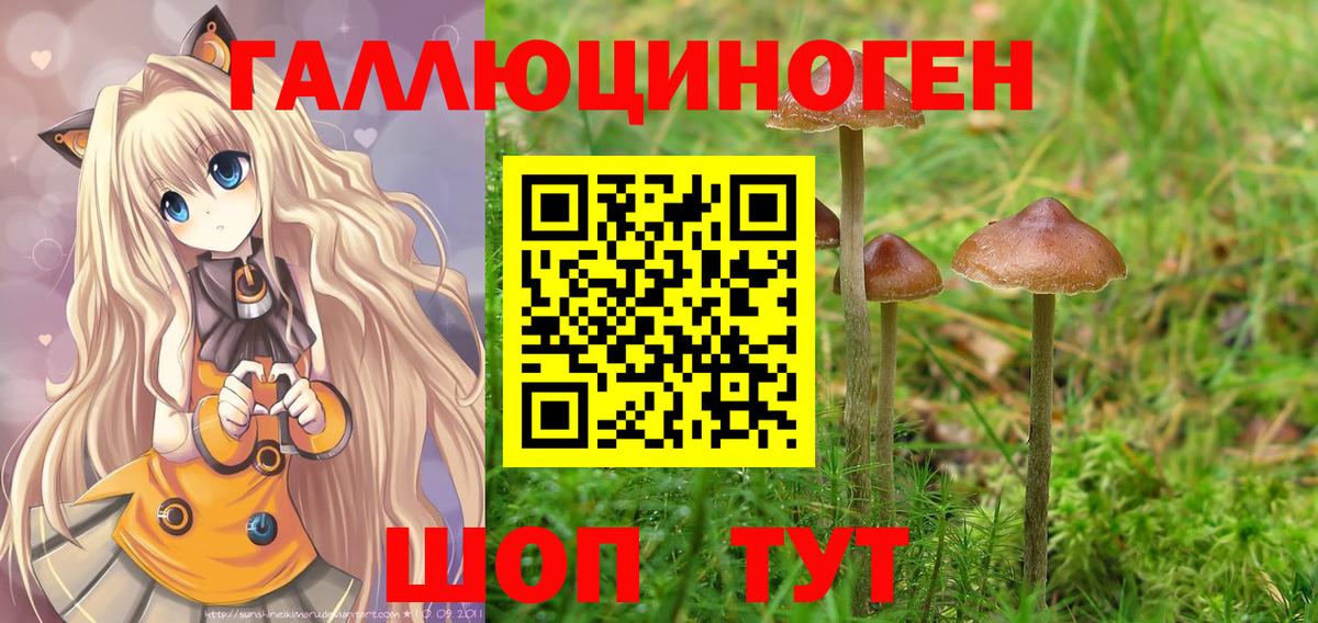 Джанкой  Псилоцибиновые грибы Psilocybine cubensis  Вход с VPN 